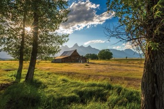 Sunny forest and field October 2025
